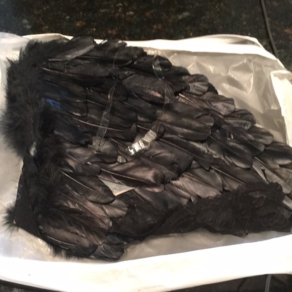 NWT Fallen Angel Wings - Picture 2 of 2